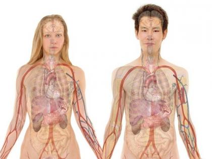 'Women at 25% higher risk of heart diseases' (Sep 29 is World Heart Day) | 'Women at 25% higher risk of heart diseases' (Sep 29 is World Heart Day) 'Women at 25% higher risk of heart diseases' (Sep 29 is World Heart Day) | 'Women at 25% higher risk of heart diseases' (Sep 29 is World Heart Day)