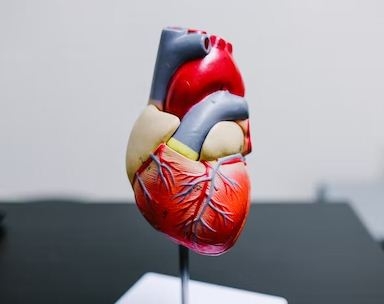 New gene therapy can cut 'bad' cholesterol by 50% with a single dose | New gene therapy can cut 'bad' cholesterol by 50% with a single dose New gene therapy can cut 'bad' cholesterol by 50% with a single dose | New gene therapy can cut 'bad' cholesterol by 50% with a single dose