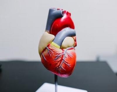 Unhealthy lifestyles may be ageing your heart too fast | Unhealthy lifestyles may be ageing your heart too fast Unhealthy lifestyles may be ageing your heart too fast | Unhealthy lifestyles may be ageing your heart too fast