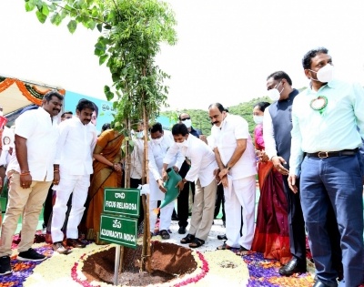 Andhra CM launches 'Jagananna Pacha Thoranam - Vana Mahotsavam' | Andhra CM launches 'Jagananna Pacha Thoranam - Vana Mahotsavam'
