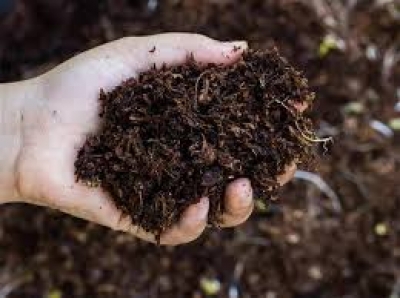 SL bans China manufactured 'orgnaic' fertiliser after detection of bacteria again | SL bans China manufactured 'orgnaic' fertiliser after detection of bacteria again