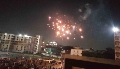 Odisha prohibits sale, use of fireworks in Oct Covid guidelines | Odisha prohibits sale, use of fireworks in Oct Covid guidelines