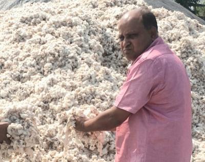 M'rashtra cotton coterie covets crores in corona crises | M'rashtra cotton coterie covets crores in corona crises M'rashtra cotton coterie covets crores in corona crises | M'rashtra cotton coterie covets crores in corona crises