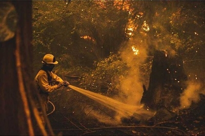 Seven people dead in Oregon wildfires | Seven people dead in Oregon wildfires