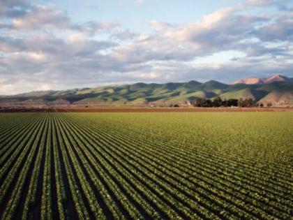 Study: Agriculture will play important role in reducing greenhouse gas emissions | Study: Agriculture will play important role in reducing greenhouse gas emissions