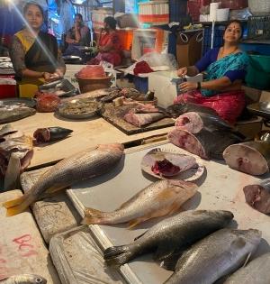 Kolkata grapples with short supply and rocketing prices of fresh fish | Kolkata grapples with short supply and rocketing prices of fresh fish