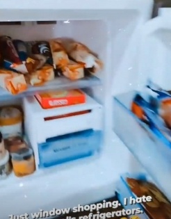 Allu Sirish hates 'foodie people's refrigerators' | Allu Sirish hates 'foodie people's refrigerators'
