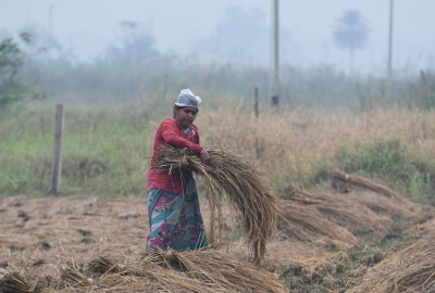 Unseasonal rains hit hard Telangana paddy farmers | Unseasonal rains hit hard Telangana paddy farmers