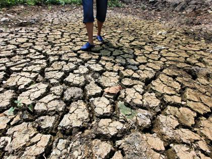 Drought looms over Kerala as August sees 90% rain deficit in the state | Drought looms over Kerala as August sees 90% rain deficit in the state Drought looms over Kerala as August sees 90% rain deficit in the state | Drought looms over Kerala as August sees 90% rain deficit in the state