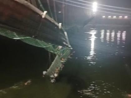 2 key accused in Morbi bridge collapse case move HC for bail | 2 key accused in Morbi bridge collapse case move HC for bail