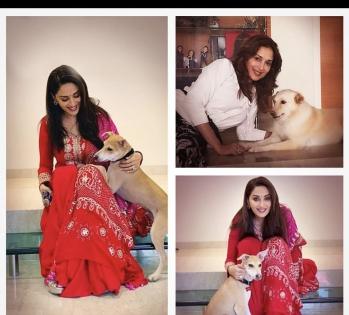 B-Town's pet parents gear up for a 'paw-erful' summer | B-Town's pet parents gear up for a 'paw-erful' summer