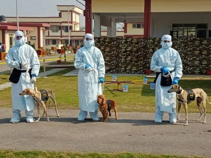 Indian Army demonstrates capabilities of dogs to detect COVID-19 | Indian Army demonstrates capabilities of dogs to detect COVID-19