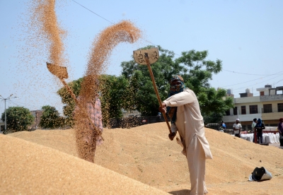 9.2 lakh metric tonnes of wheat sold through e-auction by FCI | 9.2 lakh metric tonnes of wheat sold through e-auction by FCI