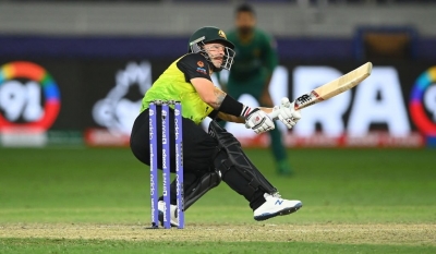 Australia keeper Wade reveals plan to retire after next year's T20 World Cup | Australia keeper Wade reveals plan to retire after next year's T20 World Cup