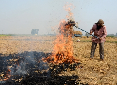 Centre's affidavit on air pollution in SC points at contradictions on stubble burning | Centre's affidavit on air pollution in SC points at contradictions on stubble burning