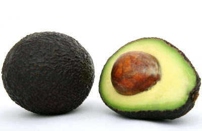 Avacado a day may improve cognitive functions in obese adults | Avacado a day may improve cognitive functions in obese adults Avacado a day may improve cognitive functions in obese adults | Avacado a day may improve cognitive functions in obese adults