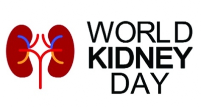 Lifestyle changes help to prevent kidney diseases: Experts | Lifestyle changes help to prevent kidney diseases: Experts
