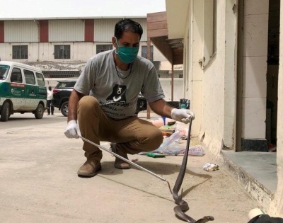 Rains keep snake catchers busy in Agra | Rains keep snake catchers busy in Agra