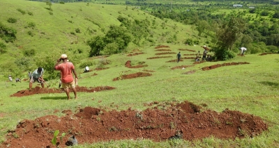 Maharashtra village takes afforestation up a notch | Maharashtra village takes afforestation up a notch