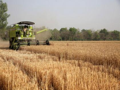 Pakistan to import 2 million MT wheat from Russia with cash | Pakistan to import 2 million MT wheat from Russia with cash Pakistan to import 2 million MT wheat from Russia with cash | Pakistan to import 2 million MT wheat from Russia with cash