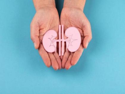 Metabolism might be vital for future kidney disease treatment: Study | Metabolism might be vital for future kidney disease treatment: Study