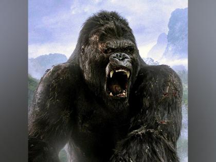'King Kong' live-action series in works | 'King Kong' live-action series in works