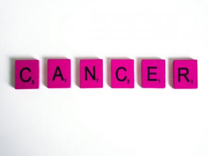 Study: Therapeutic drug can render cancer cells | Study: Therapeutic drug can render cancer cells
