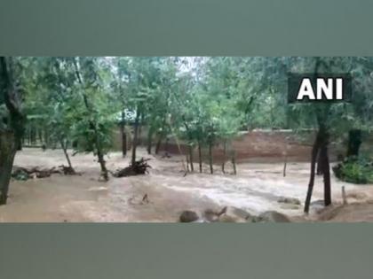 Cloudburst in J-K's Kulgam; several houses affected | Cloudburst in J-K's Kulgam; several houses affected