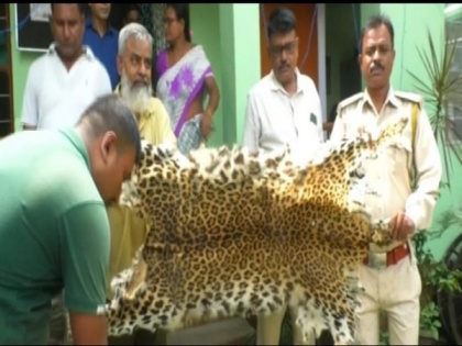 Forest officials recover body parts of leopards, other animals in Assam's Nagaon | Forest officials recover body parts of leopards, other animals in Assam's Nagaon