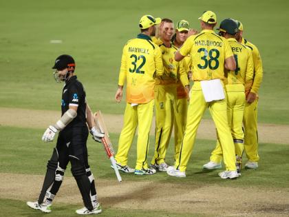 Adam Zampa fifer, Smith fifty guide Australia to 113-run win in second ODI, hosts clinch series 2-0 | Adam Zampa fifer, Smith fifty guide Australia to 113-run win in second ODI, hosts clinch series 2-0
