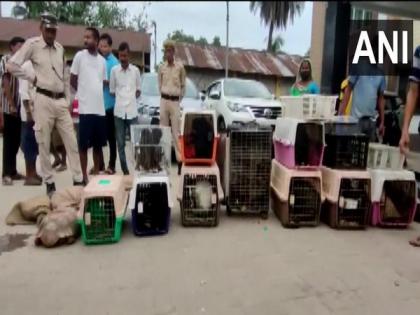 Assam: 2 vehicles carrying wild animals seized in Rangia | Assam: 2 vehicles carrying wild animals seized in Rangia