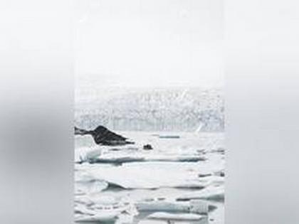 Scientists uncover evidence that the Late Cretaceous hosted icy conditions in Antarctica | Scientists uncover evidence that the Late Cretaceous hosted icy conditions in Antarctica