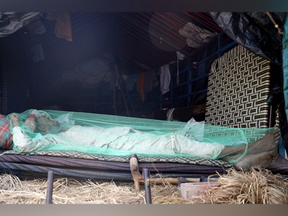 Mosquito nets from India? As Malaria outbreak follows severe floods, Pakistan grapples for options | Mosquito nets from India? As Malaria outbreak follows severe floods, Pakistan grapples for options