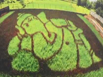 Agriculturist creates Black Eagle, Ganesha in paddy fields through Japanese Tambo Ato | Agriculturist creates Black Eagle, Ganesha in paddy fields through Japanese Tambo Ato