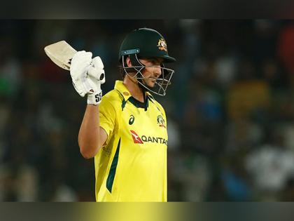 Tim David should be in Australia XI for T20 World Cup: Adam Gilchrist | Tim David should be in Australia XI for T20 World Cup: Adam Gilchrist