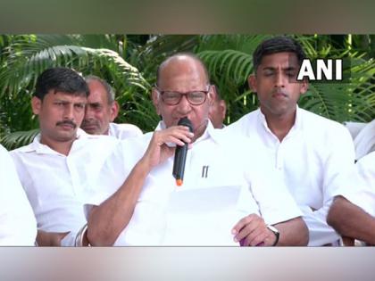 Muslim minorities have contributed the most to Bollywood: NCP Chief Sharad Pawar | Muslim minorities have contributed the most to Bollywood: NCP Chief Sharad Pawar Muslim minorities have contributed the most to Bollywood: NCP Chief Sharad Pawar | Muslim minorities have contributed the most to Bollywood: NCP Chief Sharad Pawar