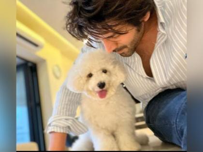 Check out Kartik Aaryan's latest picture with his pet Katori | Check out Kartik Aaryan's latest picture with his pet Katori Check out Kartik Aaryan's latest picture with his pet Katori | Check out Kartik Aaryan's latest picture with his pet Katori