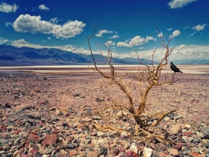 2022 summer droughts became extremely likely due to climate change | 2022 summer droughts became extremely likely due to climate change