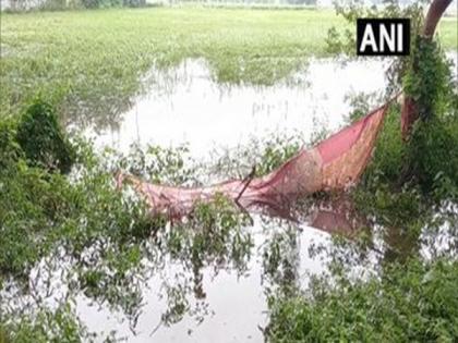 Farmers upset after crops sustain damage due to excessive rains in UP's Aligarh | Farmers upset after crops sustain damage due to excessive rains in UP's Aligarh