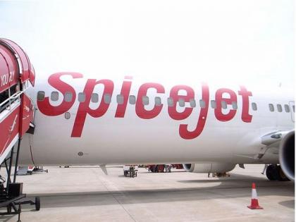 Hyderabad-bound SpiceJet flight detects smoke mid-air, DGCA orders detailed probe | Hyderabad-bound SpiceJet flight detects smoke mid-air, DGCA orders detailed probe Hyderabad-bound SpiceJet flight detects smoke mid-air, DGCA orders detailed probe | Hyderabad-bound SpiceJet flight detects smoke mid-air, DGCA orders detailed probe