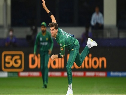 Shaheen Afridi is fully fit, dedicated to give his 100 percent: Babar Azam on star pacer's fitness | Shaheen Afridi is fully fit, dedicated to give his 100 percent: Babar Azam on star pacer's fitness