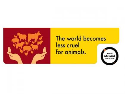 Help transform the food chain, gift a cruelty free world to our future generation this World Food Day | Help transform the food chain, gift a cruelty free world to our future generation this World Food Day Help transform the food chain, gift a cruelty free world to our future generation this World Food Day | Help transform the food chain, gift a cruelty free world to our future generation this World Food Day