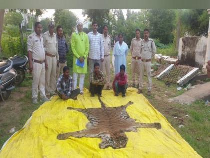 Chhattisgarh: 6 accused held with tiger, leopard skins in Surajpur | Chhattisgarh: 6 accused held with tiger, leopard skins in Surajpur