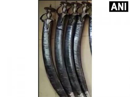Cache of arms seized in Mumbai's goat farm, 1 held | Cache of arms seized in Mumbai's goat farm, 1 held