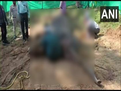 Carcass of elephant found in Chhattisgarh's Surajpur | Carcass of elephant found in Chhattisgarh's Surajpur
