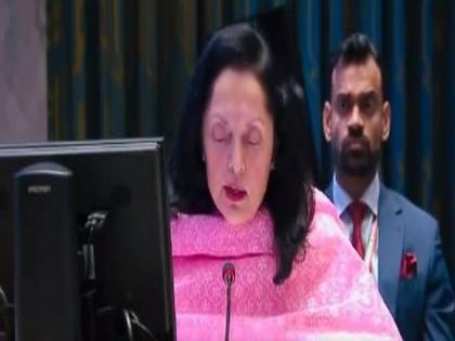 No military or armed solution to Libya's issues: India at UNSC | No military or armed solution to Libya's issues: India at UNSC
