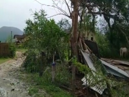 Cyclone Sitrang: Several houses damaged, trees uprooted due to heavy rains in Assam | Cyclone Sitrang: Several houses damaged, trees uprooted due to heavy rains in Assam