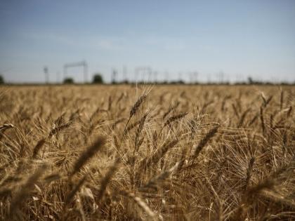 Moscow suspends participation in UN-backed grain deal with Ukraine | Moscow suspends participation in UN-backed grain deal with Ukraine
