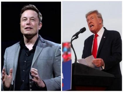 Elon Musk comments on whether Donald Trump will return to Twitter | Elon Musk comments on whether Donald Trump will return to Twitter