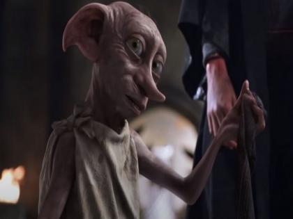 Environmental officials urge 'Harry Potter' fans to not leave socks at Dobby's memorial site | Environmental officials urge 'Harry Potter' fans to not leave socks at Dobby's memorial site